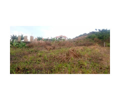 Titled plot on sell in sissa Entebbe road
