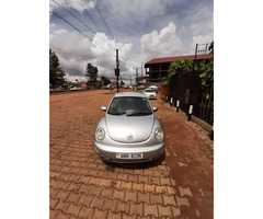 BETTLE for sale