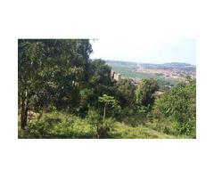60 decimals land for sale in Buziga Kampala