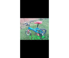 Adults and kids bikes for sale