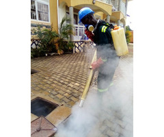 Fumigation Services in Luzira