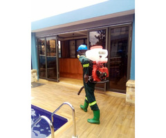Fumigation Services in Kawempe