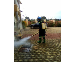 Fumigation Services in Kamwokya