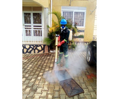 Fumigation Services in Kibuye