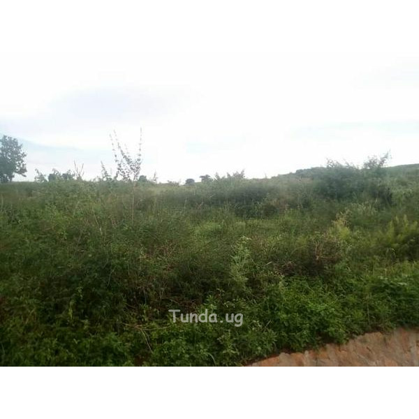 For sale 1000acres/1.5squaremiles in Kyankwanzi - 2/3