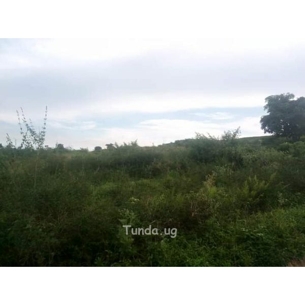 For sale 1000acres/1.5squaremiles in Kyankwanzi - 3/3