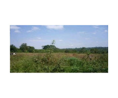 Land For Sale in wakiso
